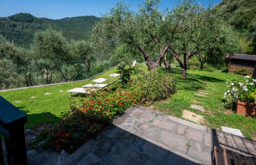 Ollie`s house - Foto 71