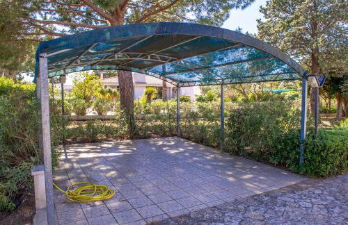 BouganVilla - Foto 58