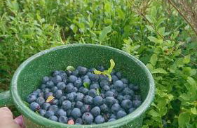 Ferienwohnung Sonnenblick und Relax - Photo 12