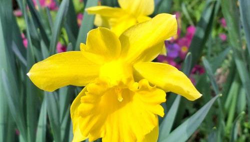 Ferienwohnung Grundel - Foto 3