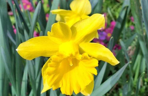 Ferienwohnung Grundel - Foto 3