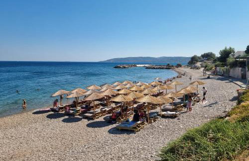 Chios Xenia Studios & Apartments - Photo 6