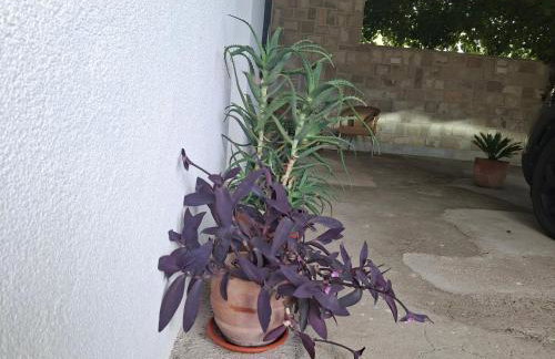 Panoramico apartment, private jacuzzi - Foto 61