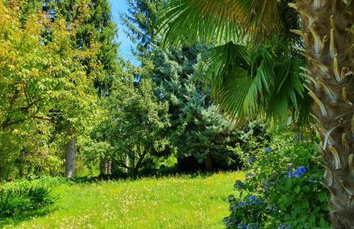 Casa Paradiso - Photo 14