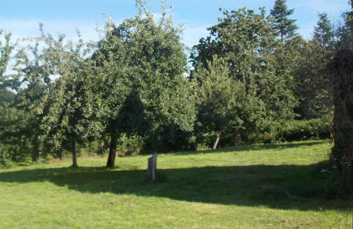 Maison charmante à Sourdeval avec jardin clôturé - Foto 9