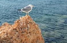 Nefeli's House - Foto 52