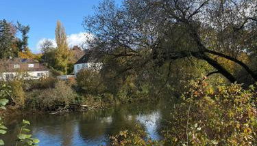 Ruhige Apartments an der Donau - Schwaben Living - Foto 2