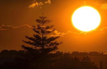 Costa Narejos 3 - Foto 35