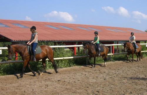 Ferienhof Pfeiffer - Foto 18