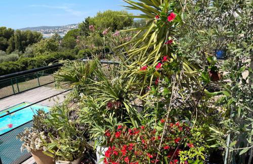 Appart, vue mer exceptionnelle à sanary, à pied 10mn criques et plage - Foto 18