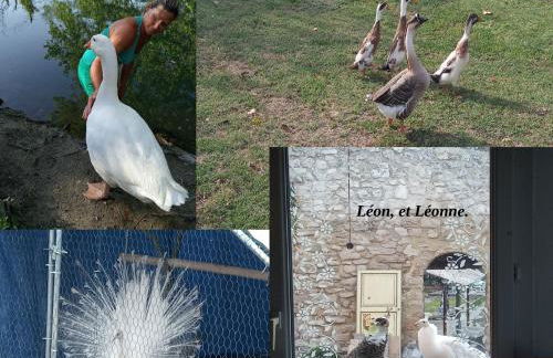 le Mas de la Jardine - Foto 68