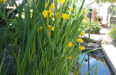 Haus Biggi - Ferienwohnung Hochgrat - Photo 18