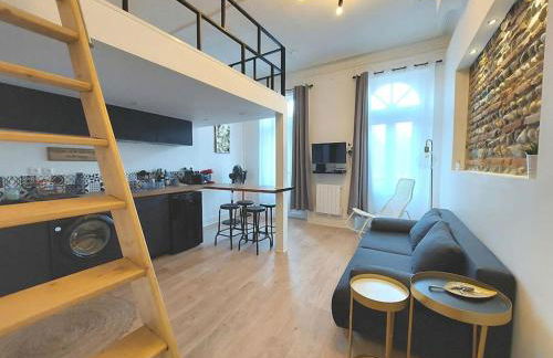 Toulouse centre Compans Caffarelli Superbe Studio - Foto 1