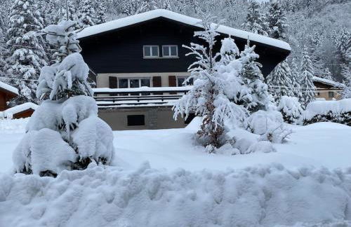 CHALET DES HAUTS SAPINS LA BRESSE - Photo 1