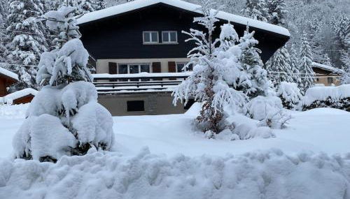 CHALET DES HAUTS SAPINS LA BRESSE - Photo 1