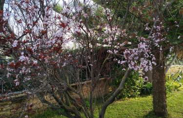 Holiday home Riserva Marina Protetta - Foto 32