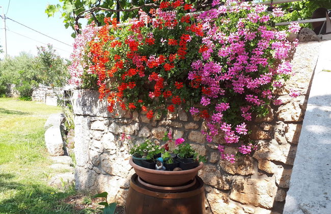 Apartment Sabina & Grapes - Foto 17