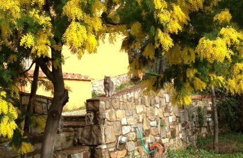 Il Casalone - Foto 40