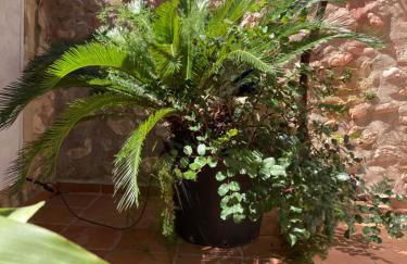 Casa Gallinera - Foto 27