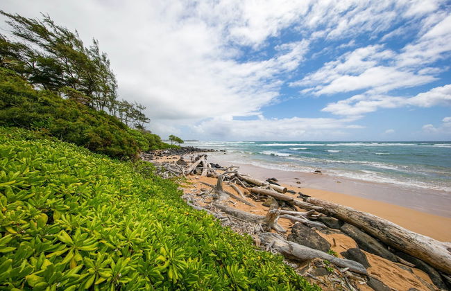 Kauai Kaha Lani by Coldwell Banker Island Vacations - Foto 27