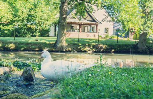 La Pommeraie - Foto 11