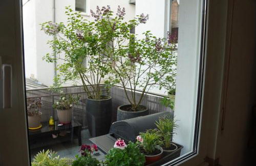 Bright, spacious apartment with a lovely terrace in the heart of Aachen - Foto 4