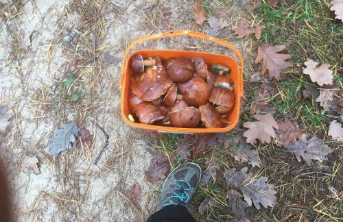 Morgensonne - a78920 - Foto 25