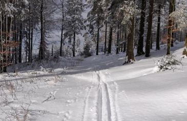 Ferienhaus Schulte - Villa Jupp und Apartment Liesl - Foto 30