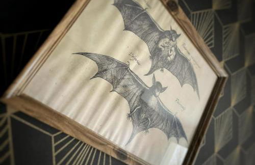 NEW - Bat'Appart - DIJON - Insolite - Foto 28