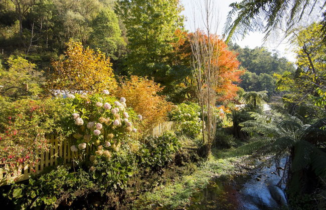 Spetts Cottage - Foto 30