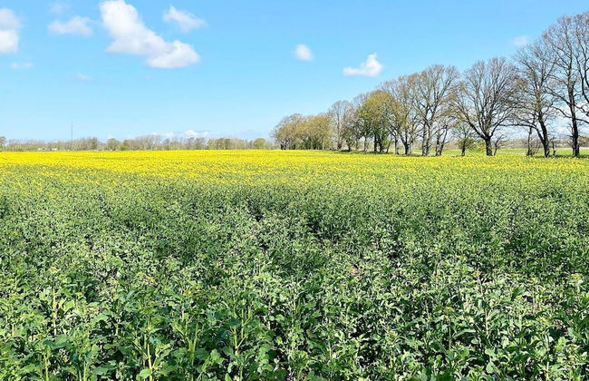 9 Person Holiday Home in Hoganas - Photo 19