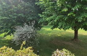 Casa Gina & Jeto - Foto 28