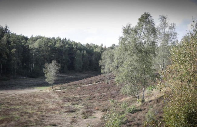 Glass Veranda Chalet in Nature - Foto 35