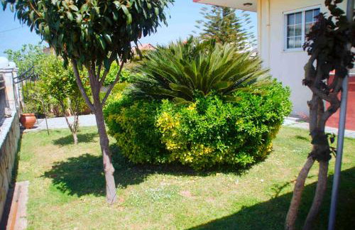 Amalias Place - Foto 52