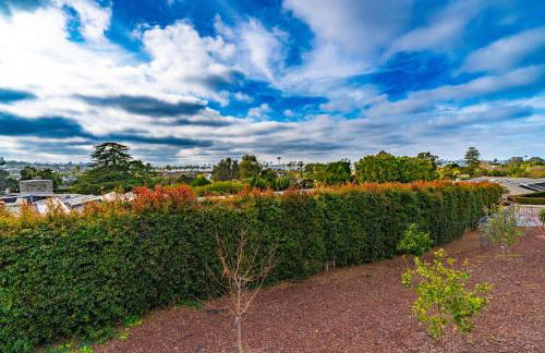 Walk to Beach Stunning Views La Jolla Shores - Photo 69