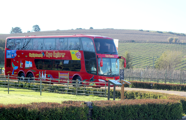 City Sightseeing Ciudad del Cabo - Tour en autobús turístico - Foto 3