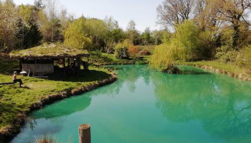 Sapphire forest garden shepherd’s hut - Foto 4