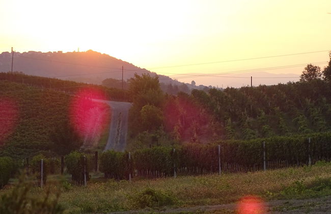 Al Tirabusòn Countryhouse - Foto 63