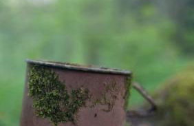 Two Apartaments Almberg - Mitterdorf-Mitterfirmiansreut - Foto 46