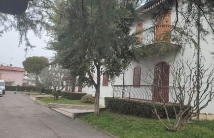 MiNi Paradise - Foto 23