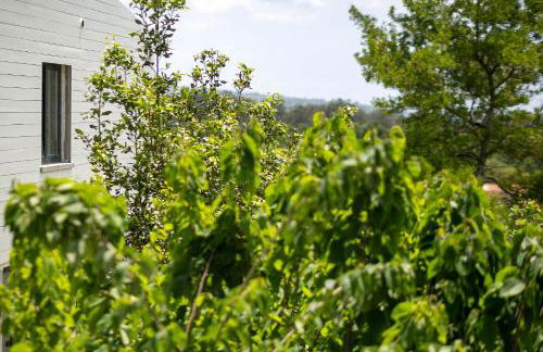 Solar Branco Eco Estate - Photo 62