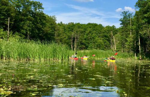 Sosnowy Zakatek - Foto 40