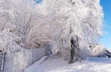 Dom na Kamieńcu - Photo 55