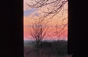 Gulfhof Anelis - Foto 74