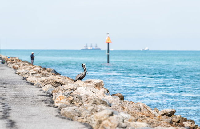 Venice Harbor 606 - Foto 22