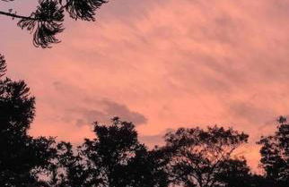 Chacara com Piscina Aquecida - Foto 45