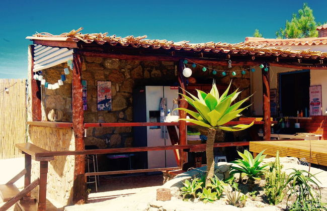 João Jungle - Foto 62