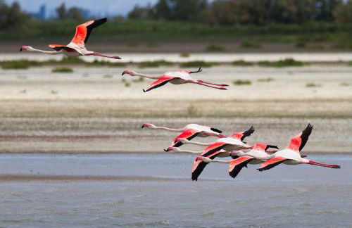 Le gite de lOlivier en Provence - Foto 38