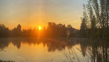 Cottage chaleureux face à l'étang - Foto 4