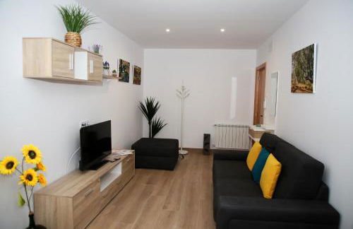 Apartamentos turisticos Chans do Carrasco S L U - Foto 25